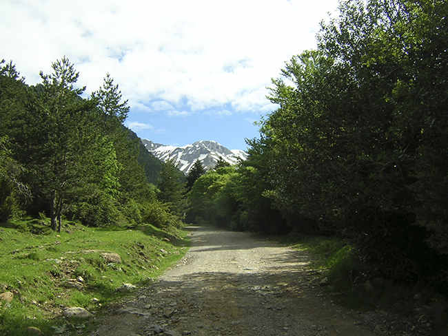 Pista del Puente de los Navarros a San Nicolás de Bujaruelo