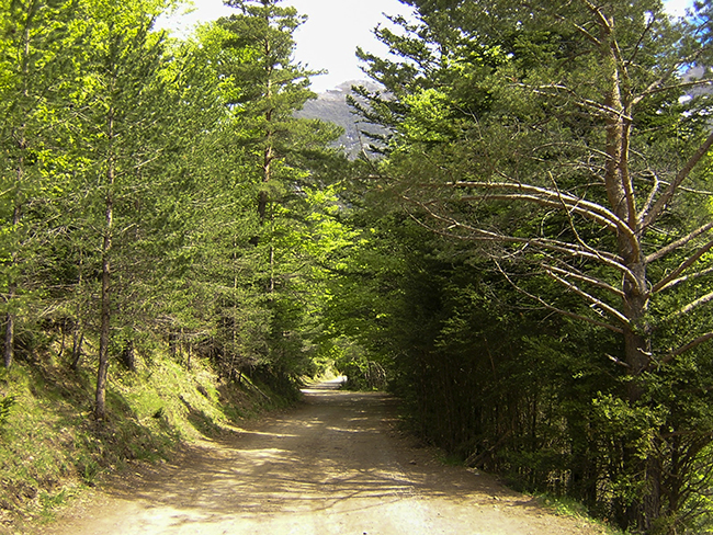 Pista del Puente de los Navarros a San Nicolás de Bujaruelo